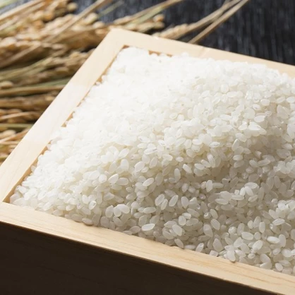 【農薬節減米】北海道産ゆめぴりか新米（白米）　5kg