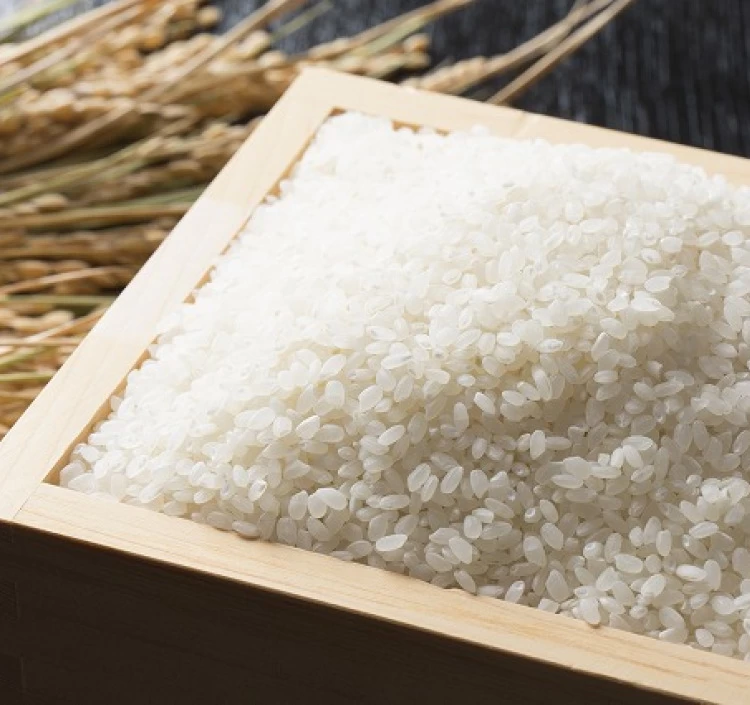 【農薬節減米】北海道産ゆめぴりか新米（白米）　10kg