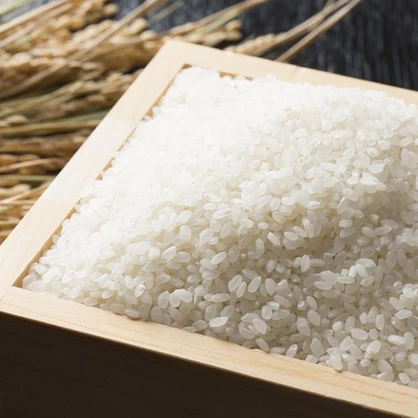【農薬節減米】北海道産ゆめぴりか新米（白米）　10kg