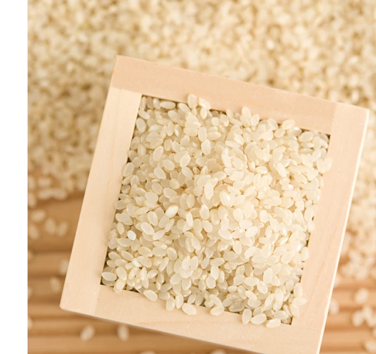 ななつぼし　玄米　農薬節減米
