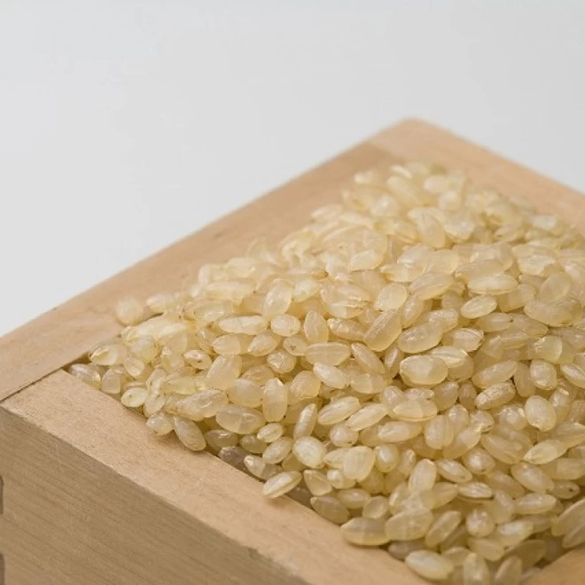 【農薬節減米】北海道産ななつぼし（玄米）　5kg　令和5年産