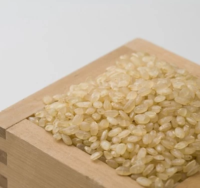 【農薬節減米】北海道産ななつぼし新米（玄米）　10kg