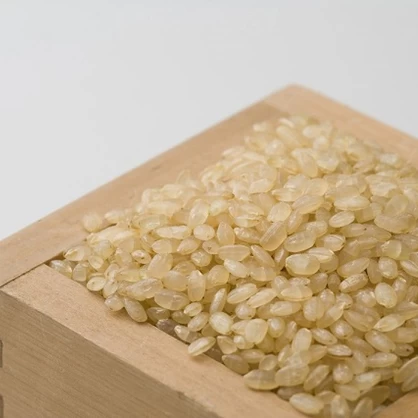 【農薬節減米】北海道産ななつぼし新米（玄米）　10kg