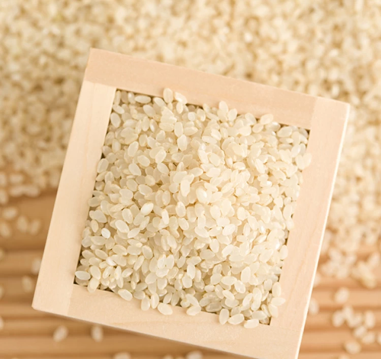 【農薬節減米】北海道産おぼろづき新米（白米）　5kg