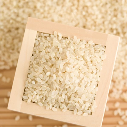 【農薬節減米】北海道産おぼろづき新米（白米）　5kg