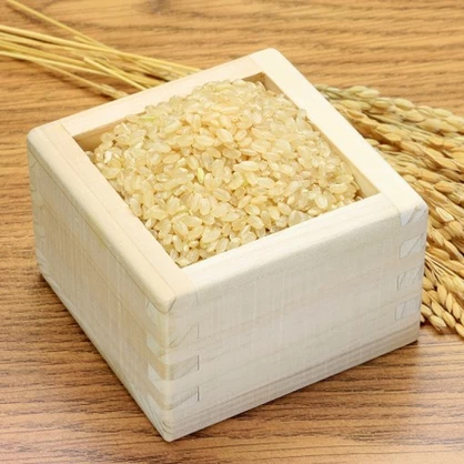 【農薬節減米】北海道産おぼろづき新米（玄米）　5kg