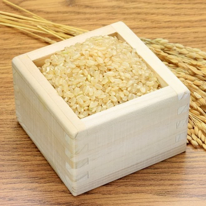 【農薬節減米】北海道産おぼろづき新米（玄米）　10kg