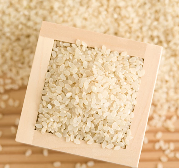 【農薬節減米】北海道産おぼろづき新米（白米）　10kg