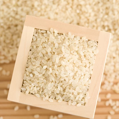 【農薬節減米】北海道産おぼろづき新米（白米）　10kg