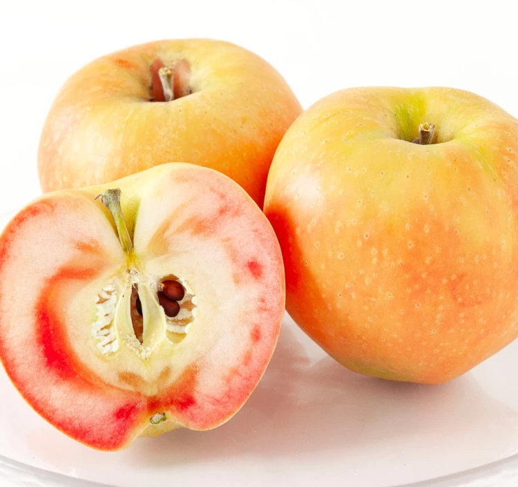 JA上伊那 ムーンルージュ 約2.5kg_秀