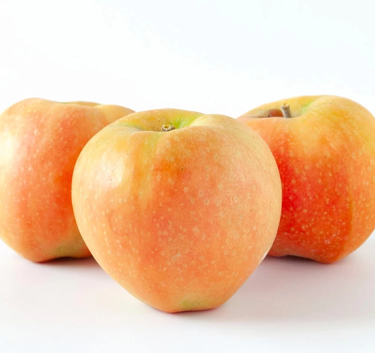 JA上伊那 ムーンルージュ 約2.5kg_秀