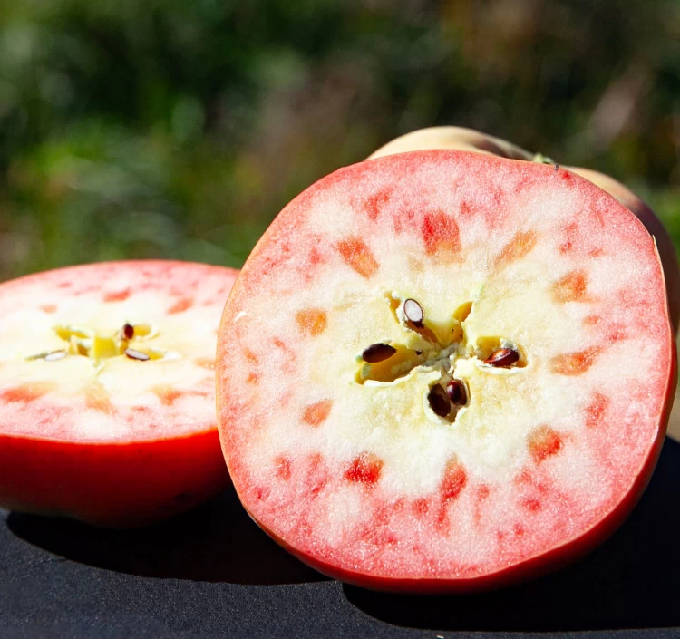 JA上伊那 ムーンルージュ 約2.5kg_秀