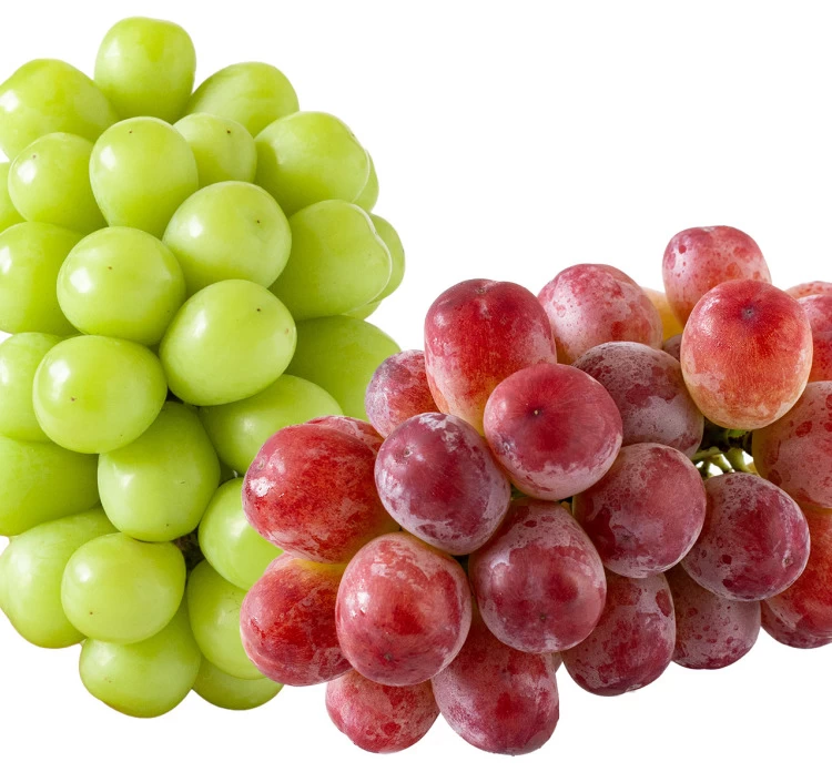 長野県産 シャインマスカット＆クイーンルージュセット(約900g