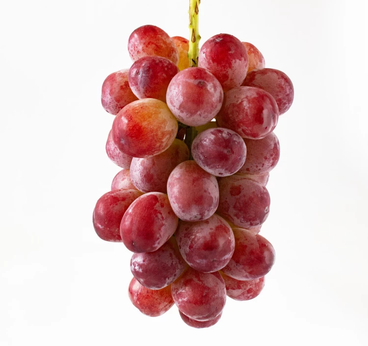 長野県産 シャインマスカット＆クイーンルージュセット(約900g