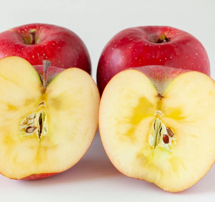 長野県芋井 大ちゃん農園 サンふじ＆シナノゴールド 約5kg_贈答用