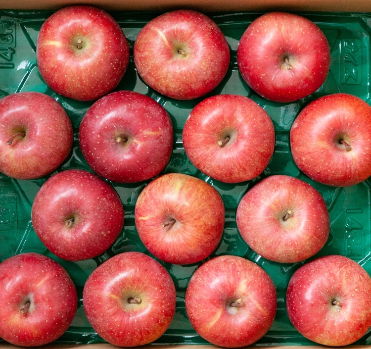 長野県産 サンふじ約5kg_秀