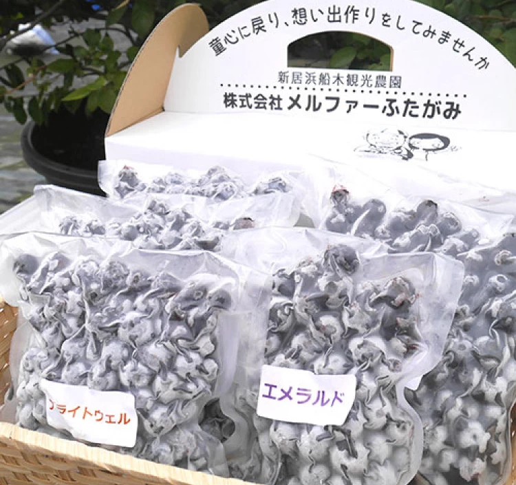 冷凍ブルーベリー 加工用