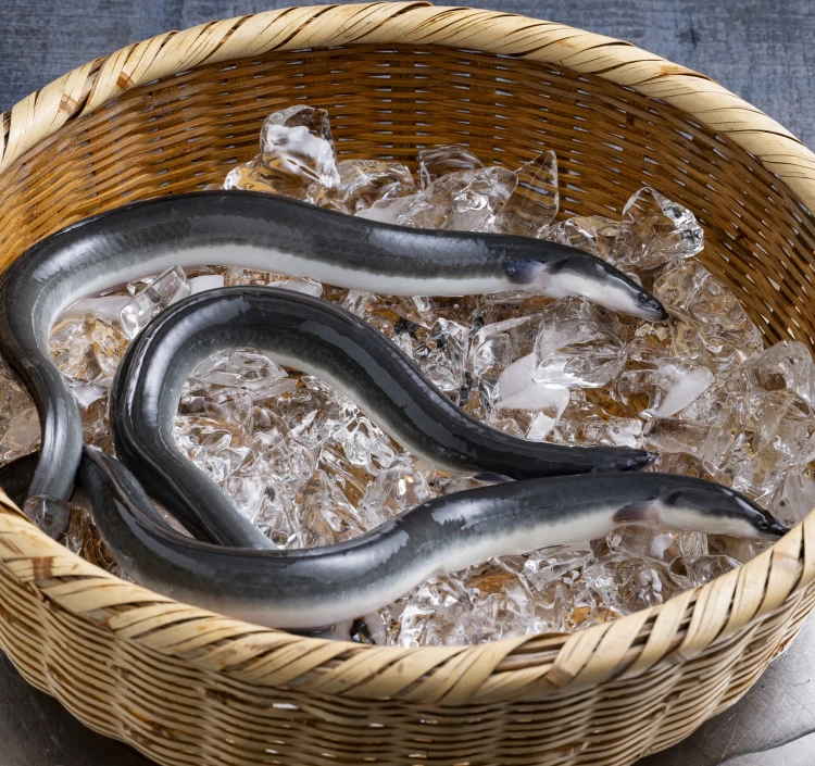 でしこ長蒲焼2枚