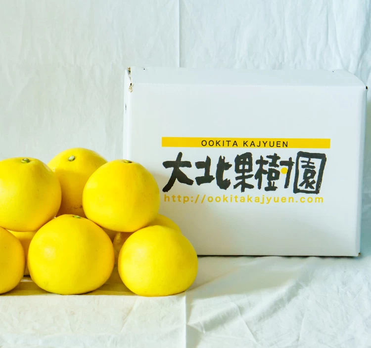 約10kg＞｜みかん・柑橘類をお取り寄せ・通販するなら【旅色】　煌めき】土佐文旦　4L特大サイズ