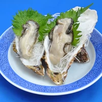 生食用冷凍牡蠣 サムネイル
