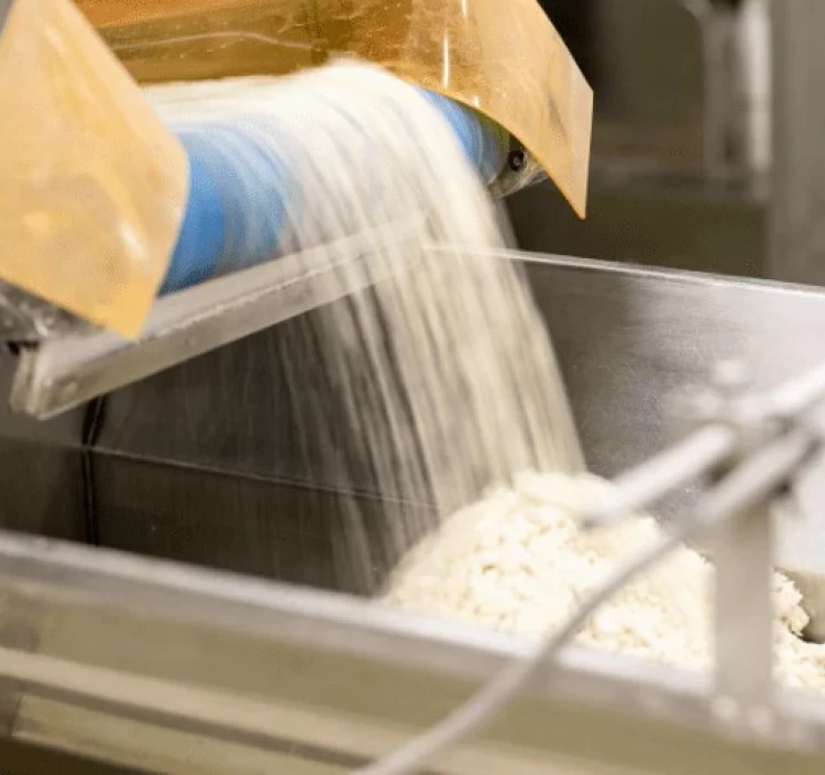 ふっかちゃん煮ぼうとう(２～３人前)