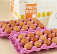 仙寿卵30個入れ （破損保証3個を含む） サムネイル