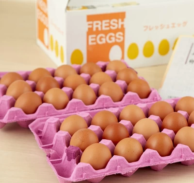 仙寿卵30個入れ （破損保証3個を含む）