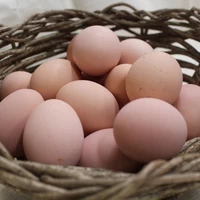 名古屋コーチン卵80個入れ（破損保証8個を含む） サムネイル