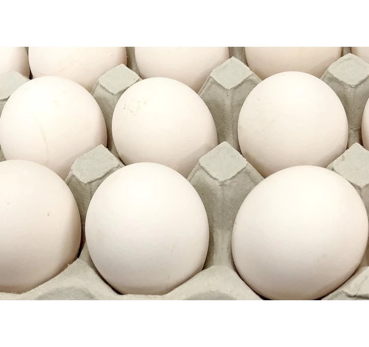 【コロナ対策支援】30%OFF 訳有り白卵40個入り（破損保証4個を含む）