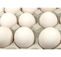 【コロナ対策支援】30%OFF 訳有り白卵40個入り（破損保証4個を含む） サムネイル