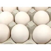 【コロナ対策支援】30%OFF 訳有り白卵40個入り（破損保証4個を含む） サムネイル
