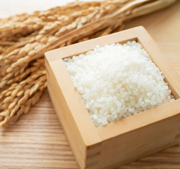 ブランド米 食べ比べセット（6品種6個）＞｜白米をお取り寄せ・通販