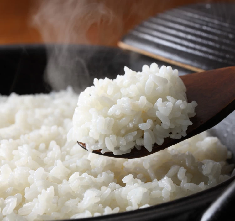 ブランド米 食べ比べセット（6品種6個）