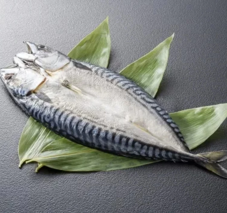 さば魚醤干し