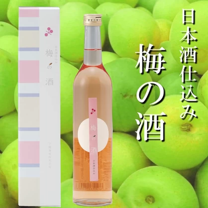 梅の酒 500ml（化粧箱入り）