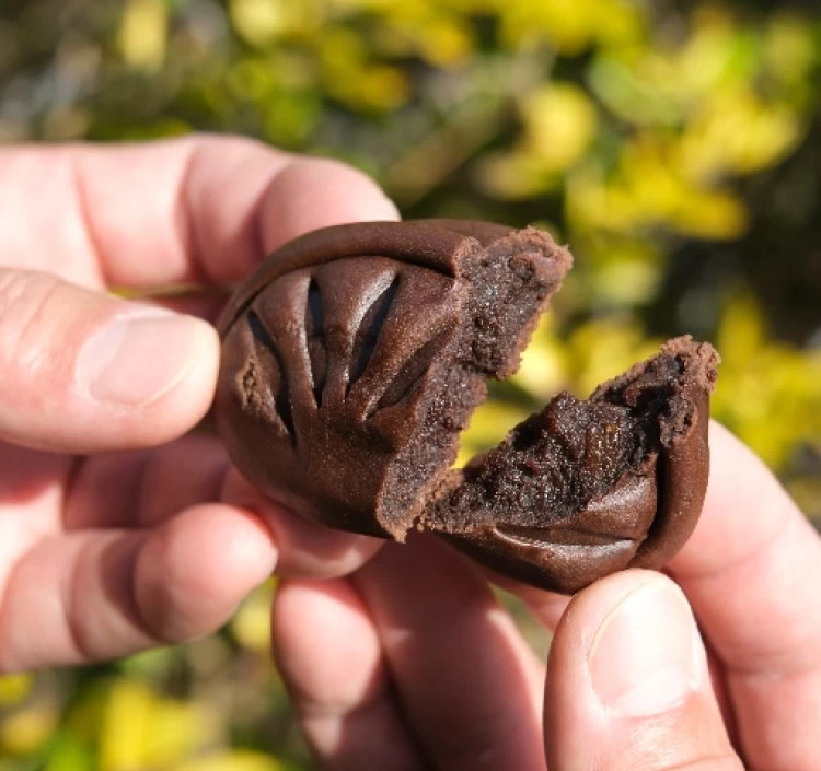 『南国ショコラーノ』（６個入）TROPICAL CHOCORATRNO