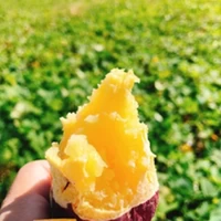 徳島産「なると金時」芋を使用