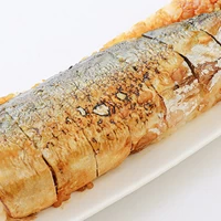 冷凍焼鯖寿司 サムネイル
