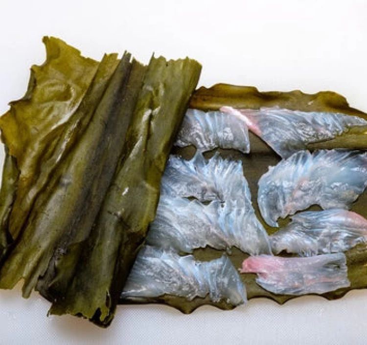 【羅臼昆布 天然】世界遺産知床産