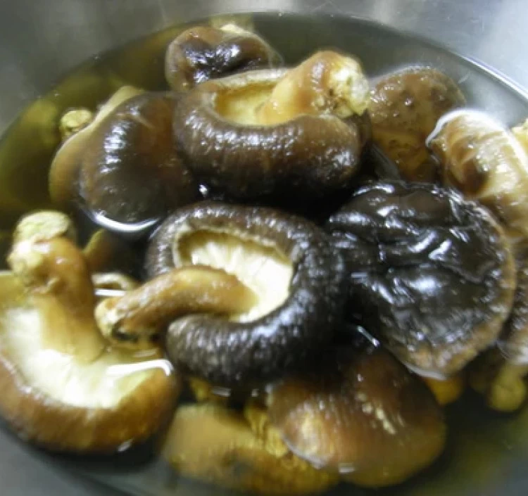 【小粒しいたけ/60ｇ】原木栽培　愛媛県産