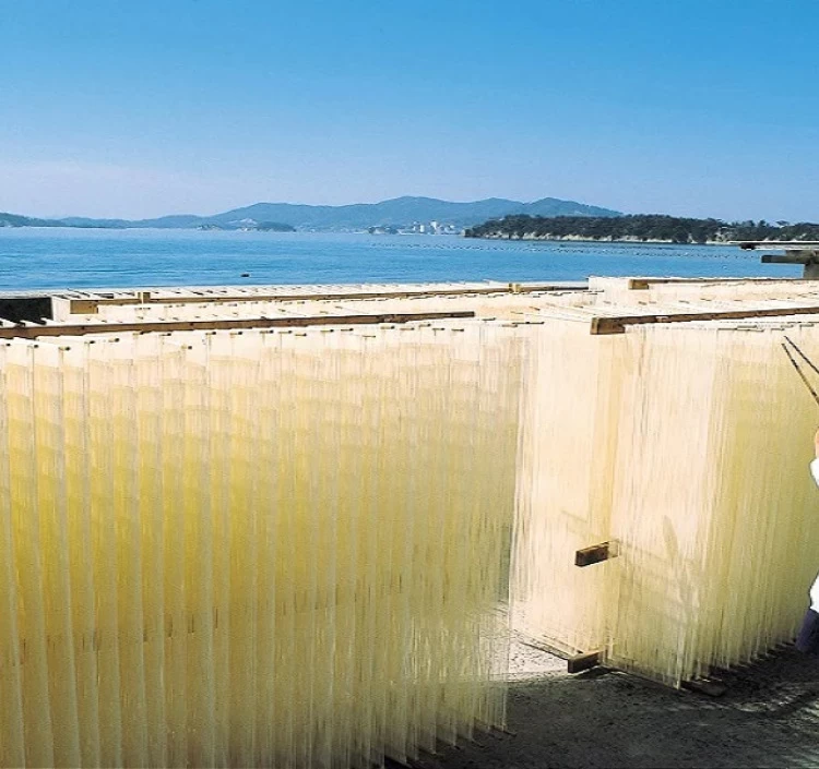 【特級金帯 特級黒帯 赤帯】島の光そうめん食べ比べセット