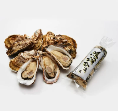 【販売期間：10月頃～】後藤水産の鳴瀬牡蠣むき身500g 1本・殻付き牡蠣10個