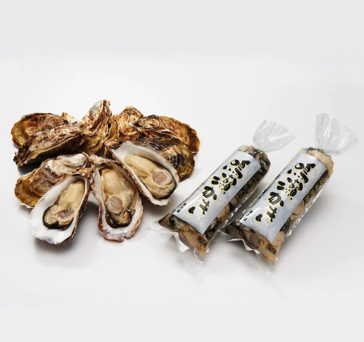 【販売期間：10月頃～】後藤水産の鳴瀬牡蠣むき身500g 2本・殻付き牡蠣10個