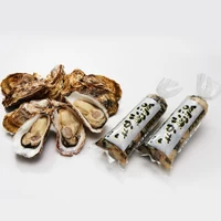 【販売期間：10月頃～】後藤水産の鳴瀬牡蠣むき身500g 2本・殻付き牡蠣10個 サムネイル