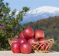 山形県朝日町産「サンふじりんご」いずみ3kg サムネイル