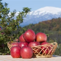 山形県朝日町産「サンふじりんご」いずみ3kg サムネイル