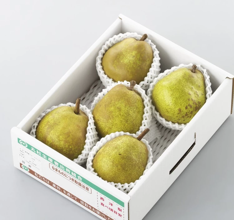 山形県産 西洋梨 ラフランス 10kg - 果物