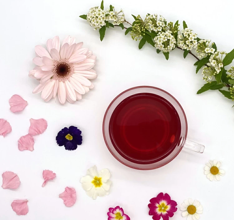 一番人気の紅茶＆ティーバッグのギフト