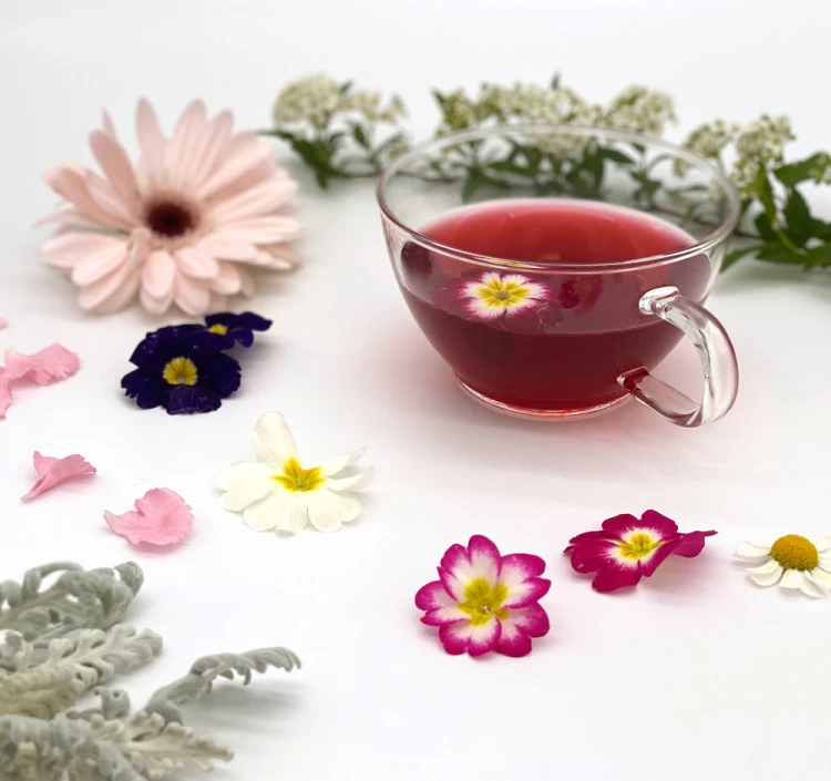 一番人気の紅茶＆ティーバッグのギフト