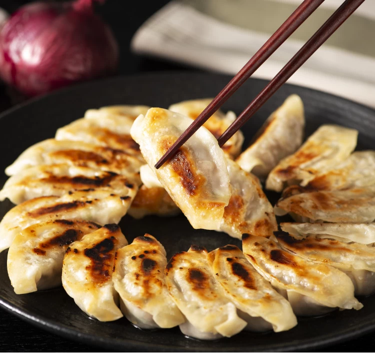 桜ふじ餃子10パックセット